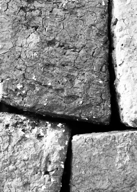 dominique-pouchain38