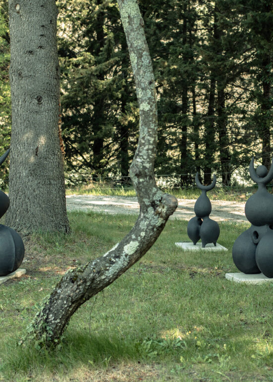 dominique-pouchain41